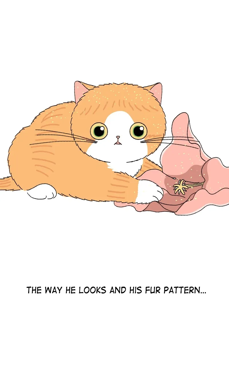 Tata the Cat Chapter 3 page 52 - 