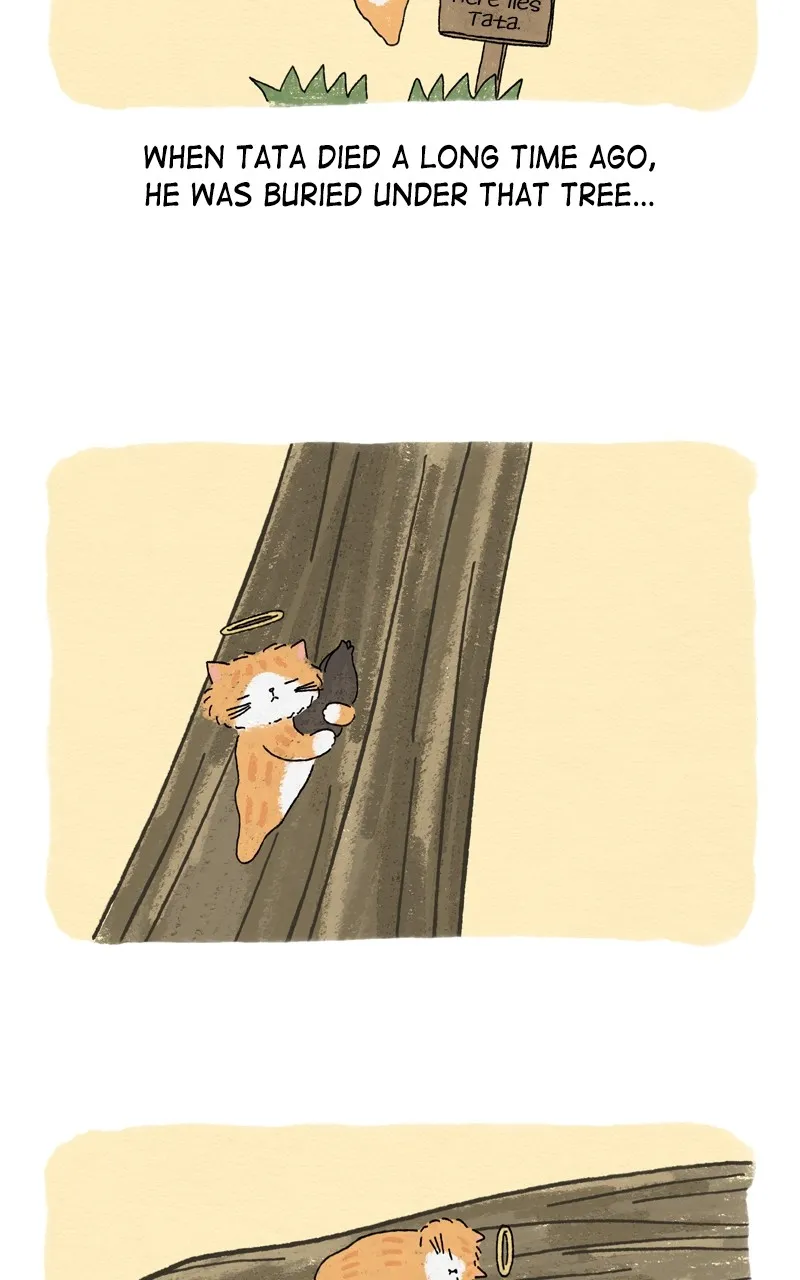 Tata the Cat Chapter 3 page 58 - 