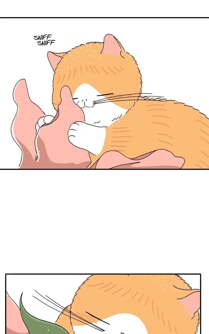 Tata the Cat Chapter 3 page 10 - 