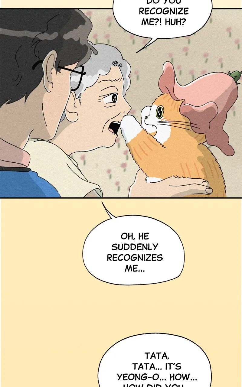 Tata the Cat Chapter 30 page 37 - 