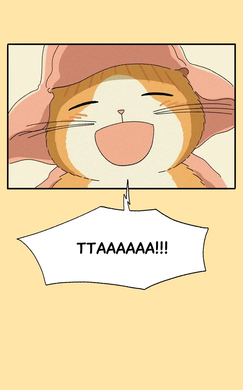 Tata the Cat Chapter 30 page 41 - 