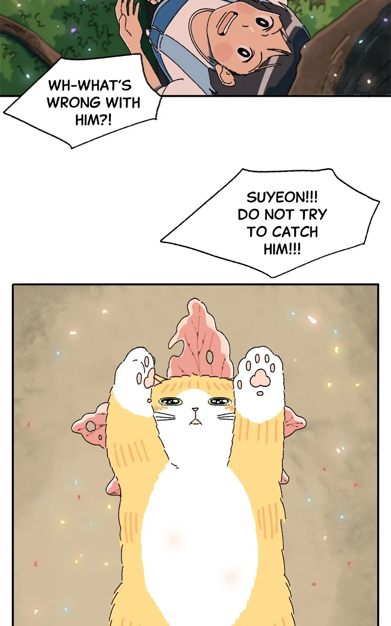 Tata the Cat Chapter 31 page 12 - 