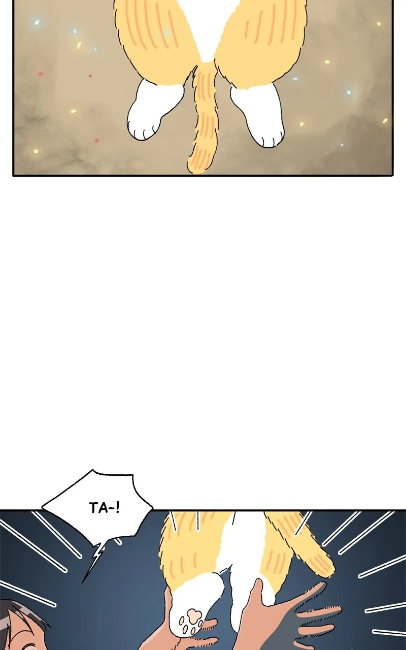 Tata the Cat Chapter 31 page 13 - 