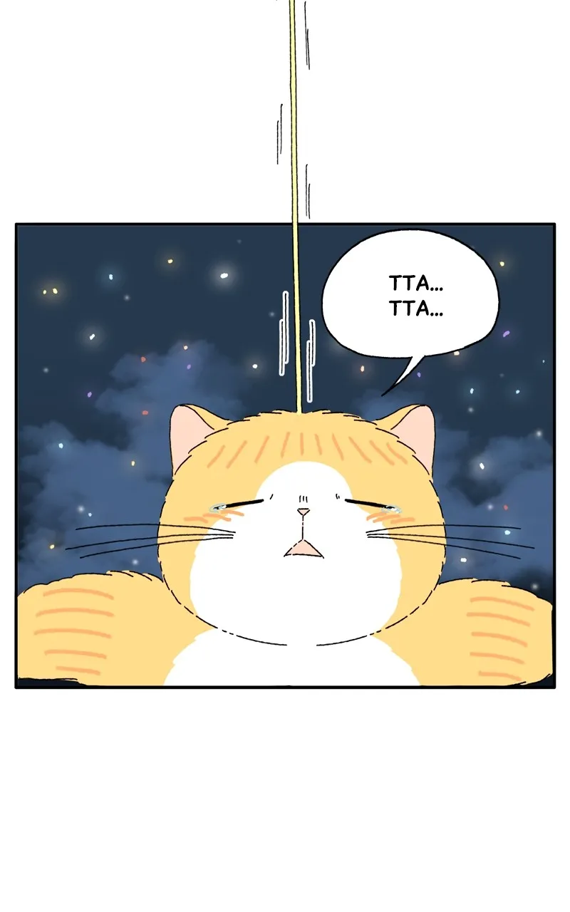 Tata the Cat Chapter 31 page 29 - 