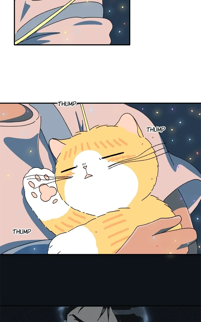 Tata the Cat Chapter 31 page 43 - 