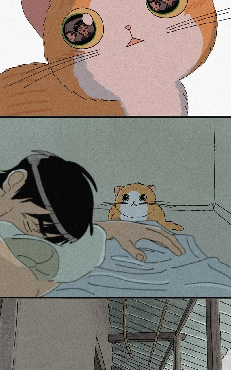 Tata the Cat Chapter 31 page 46 - 