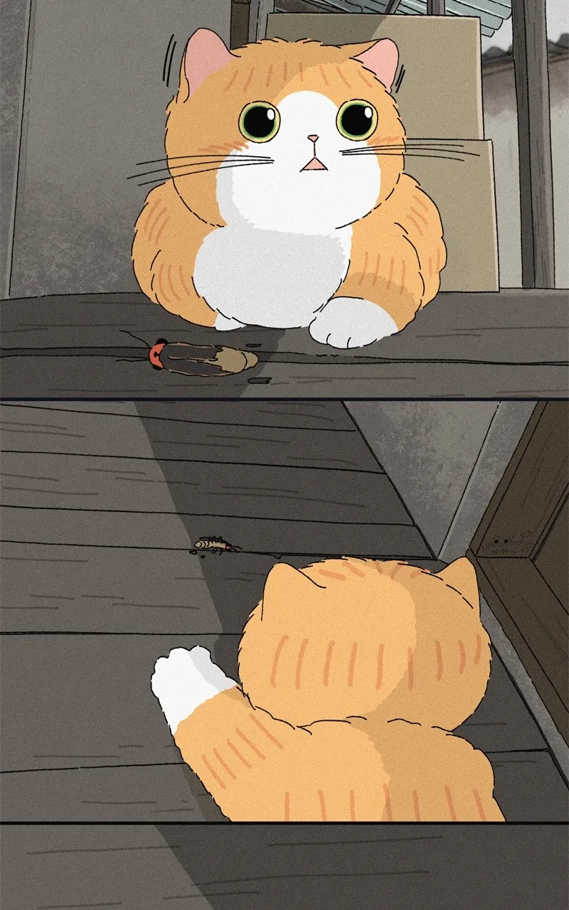 Tata the Cat Chapter 31 page 47 - 