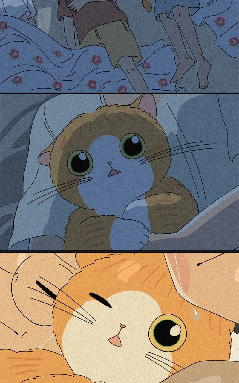 Tata the Cat Chapter 31 page 52 - 