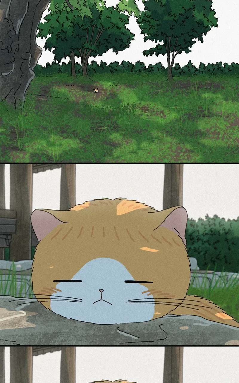 Tata the Cat Chapter 31 page 55 - 