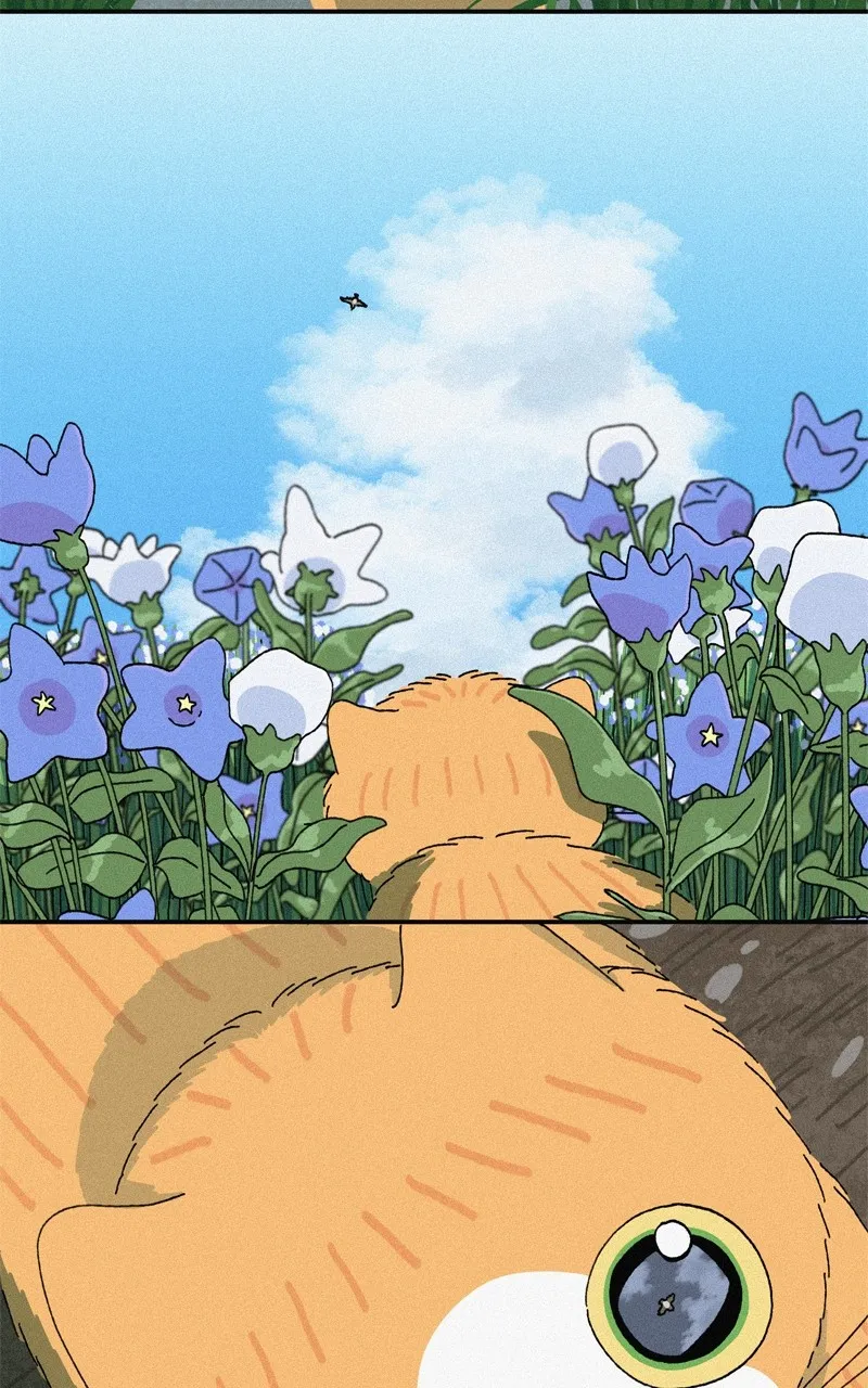 Tata the Cat Chapter 31 page 57 - 