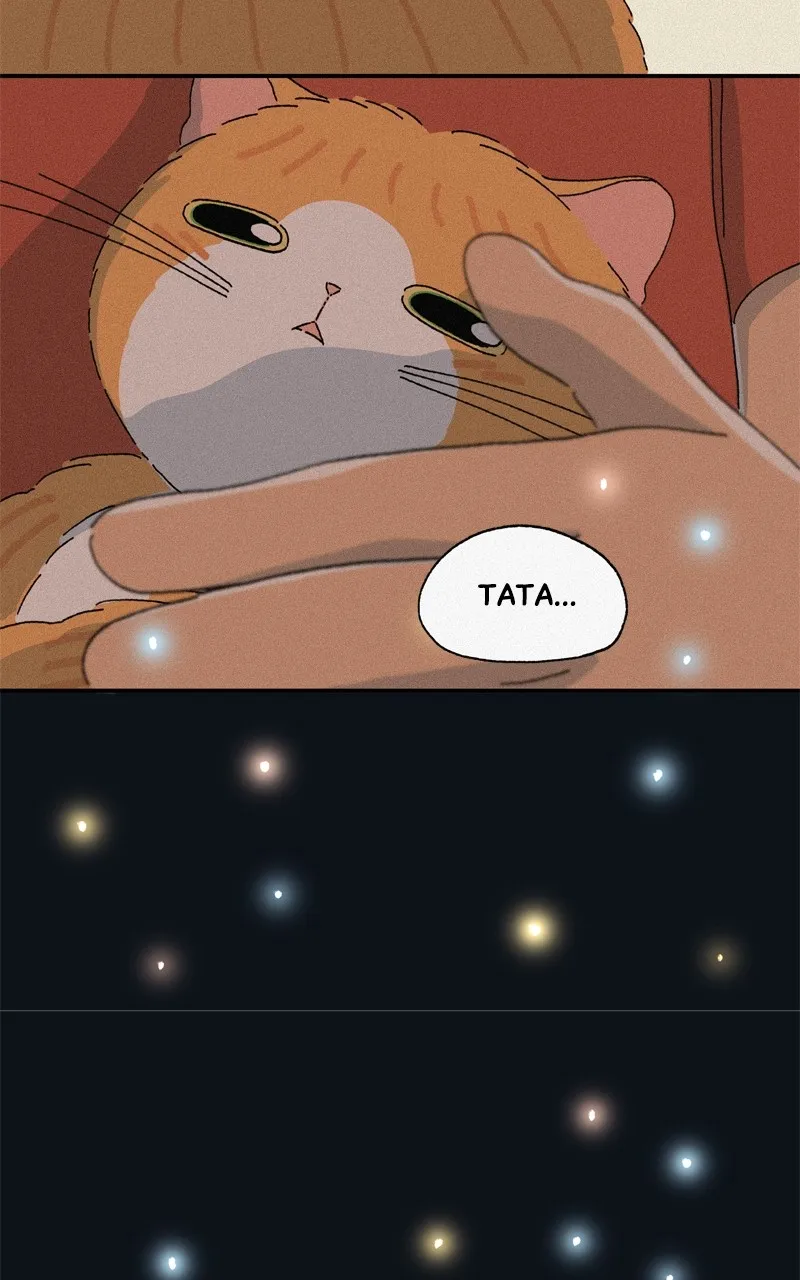 Tata the Cat Chapter 31 page 75 - 