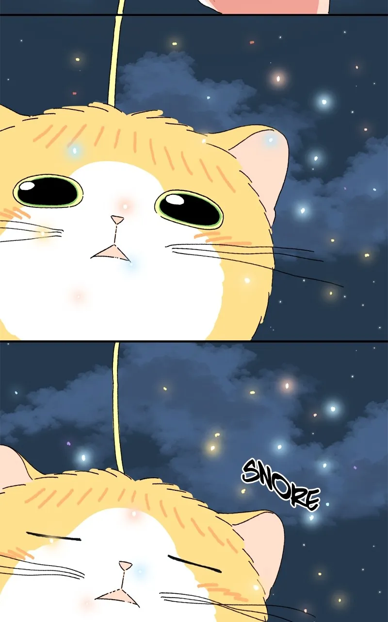Tata the Cat Chapter 31 page 78 - 