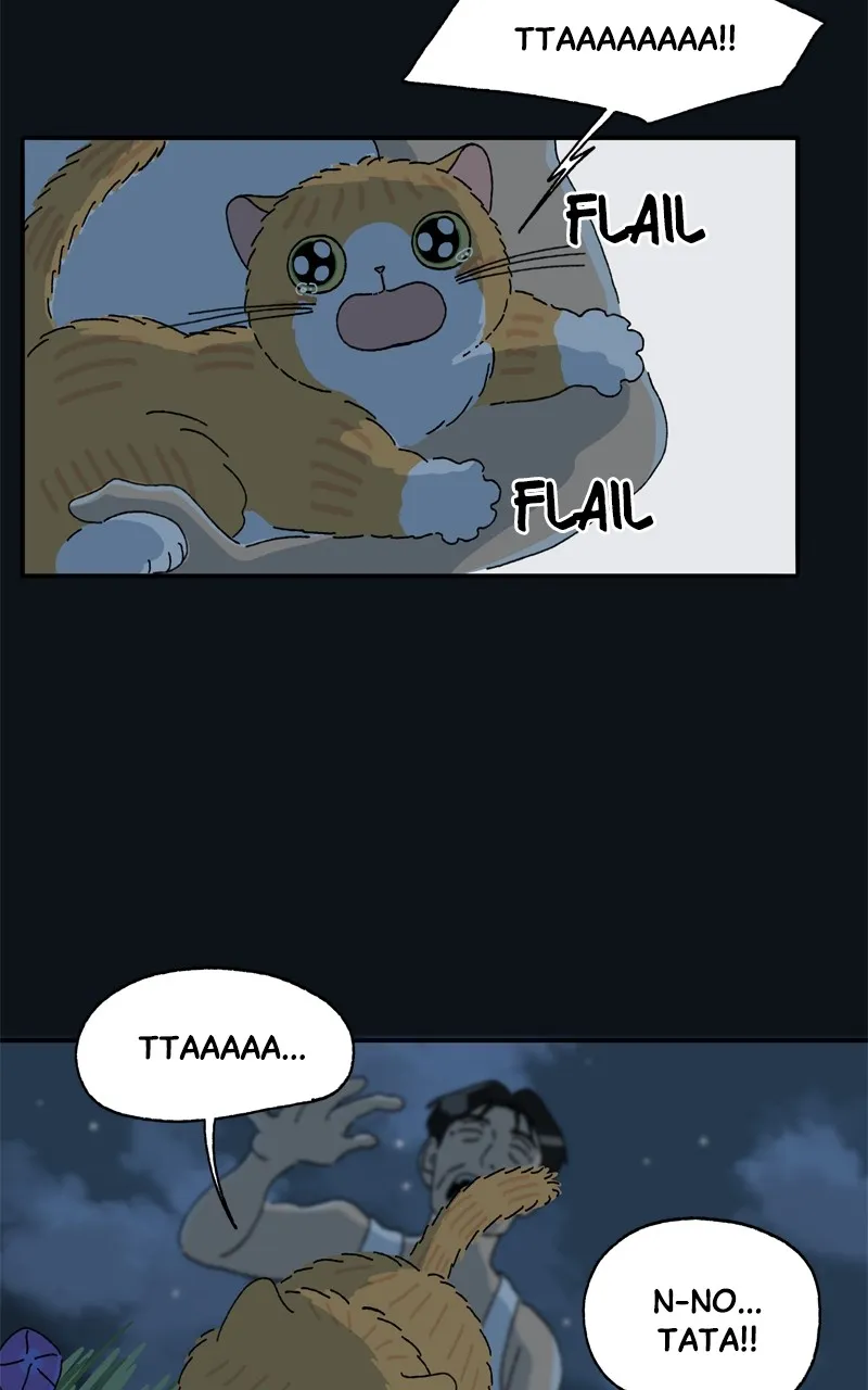 Tata the Cat Chapter 31 page 10 - 