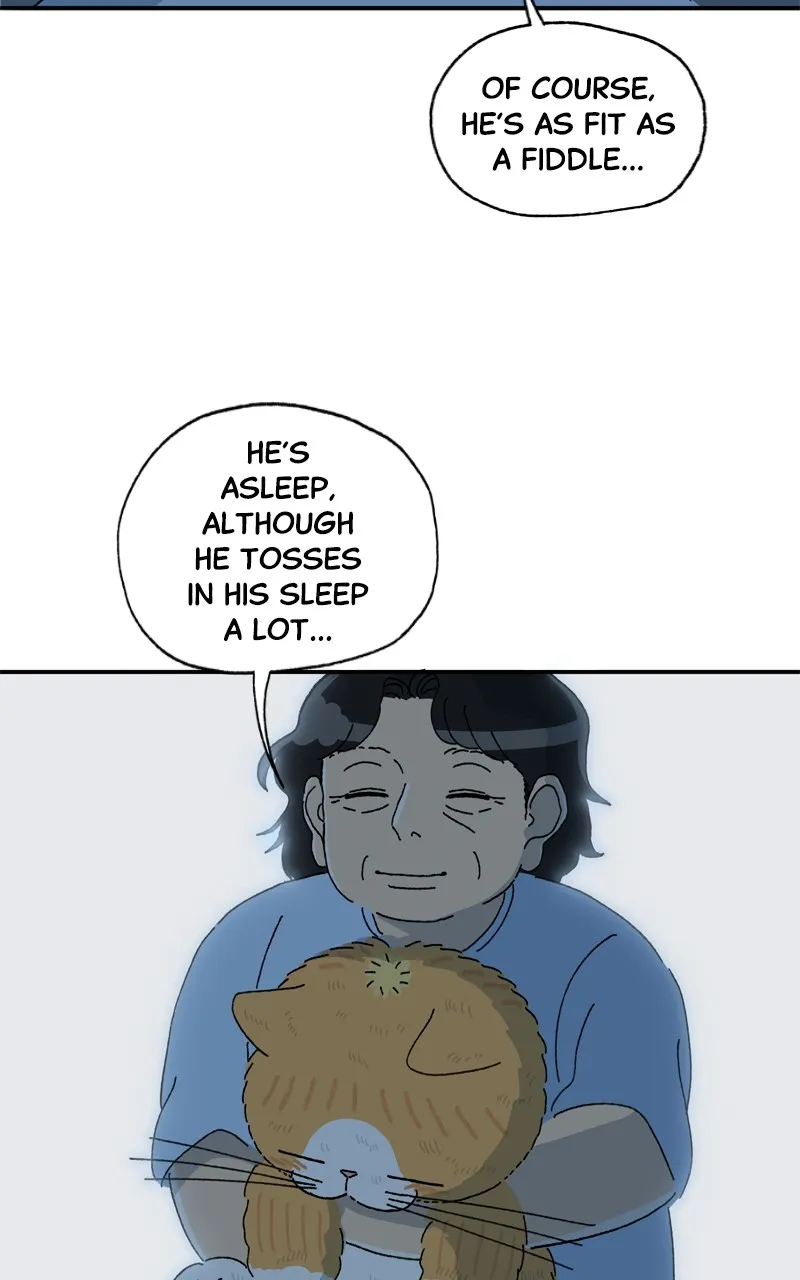 Tata the Cat Chapter 33 page 45 - 