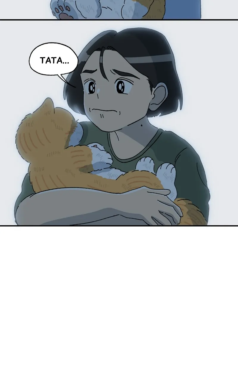 Tata the Cat Chapter 33 page 46 - 