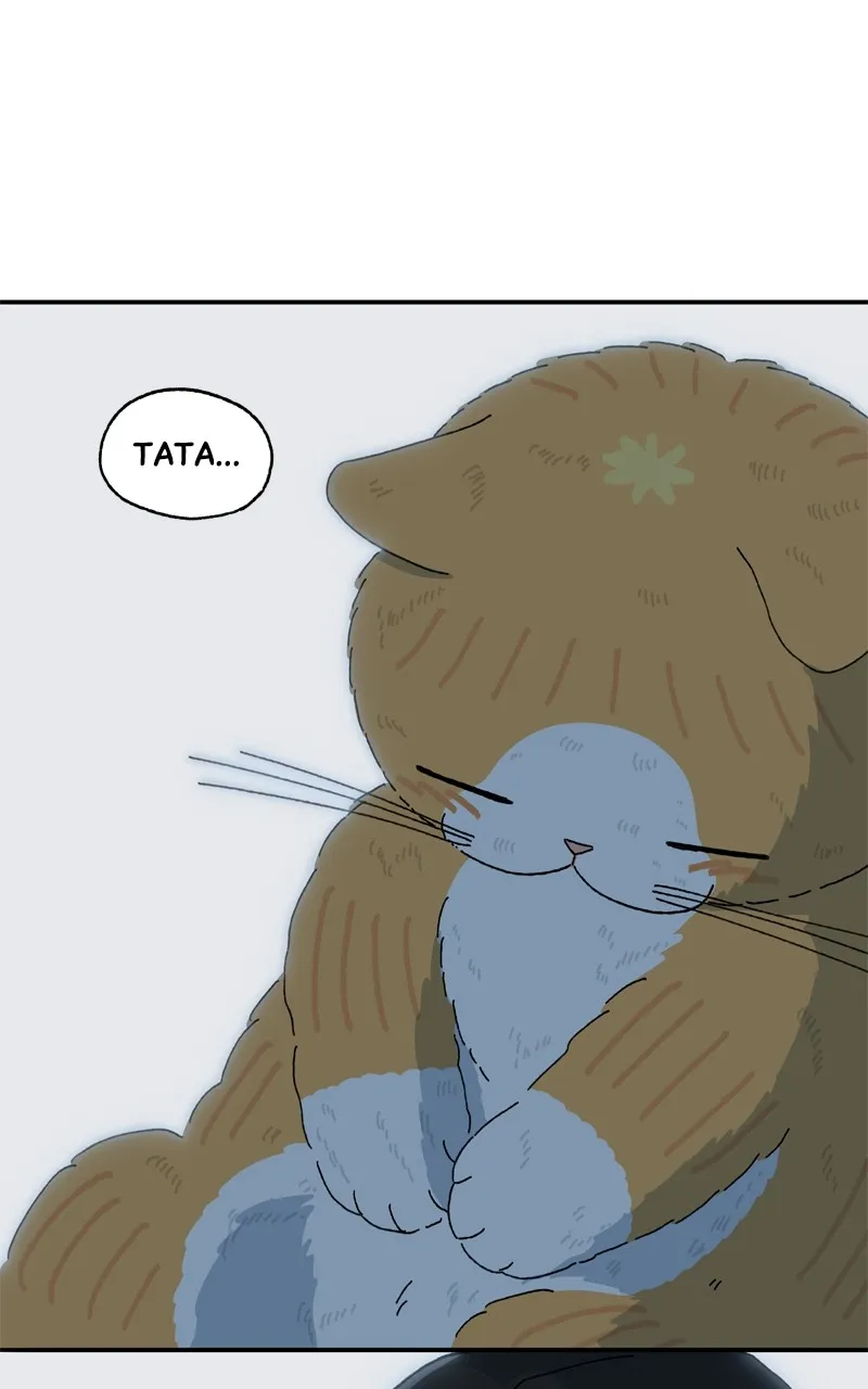 Tata the Cat Chapter 33 page 47 - 