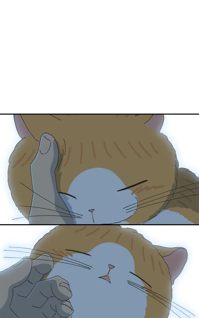 Tata the Cat Chapter 33 page 50 - 