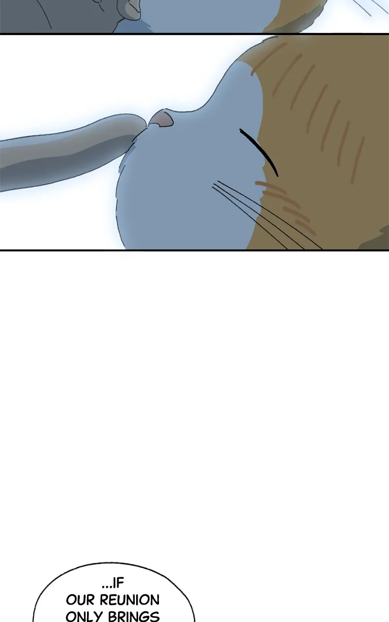 Tata the Cat Chapter 33 page 51 - 