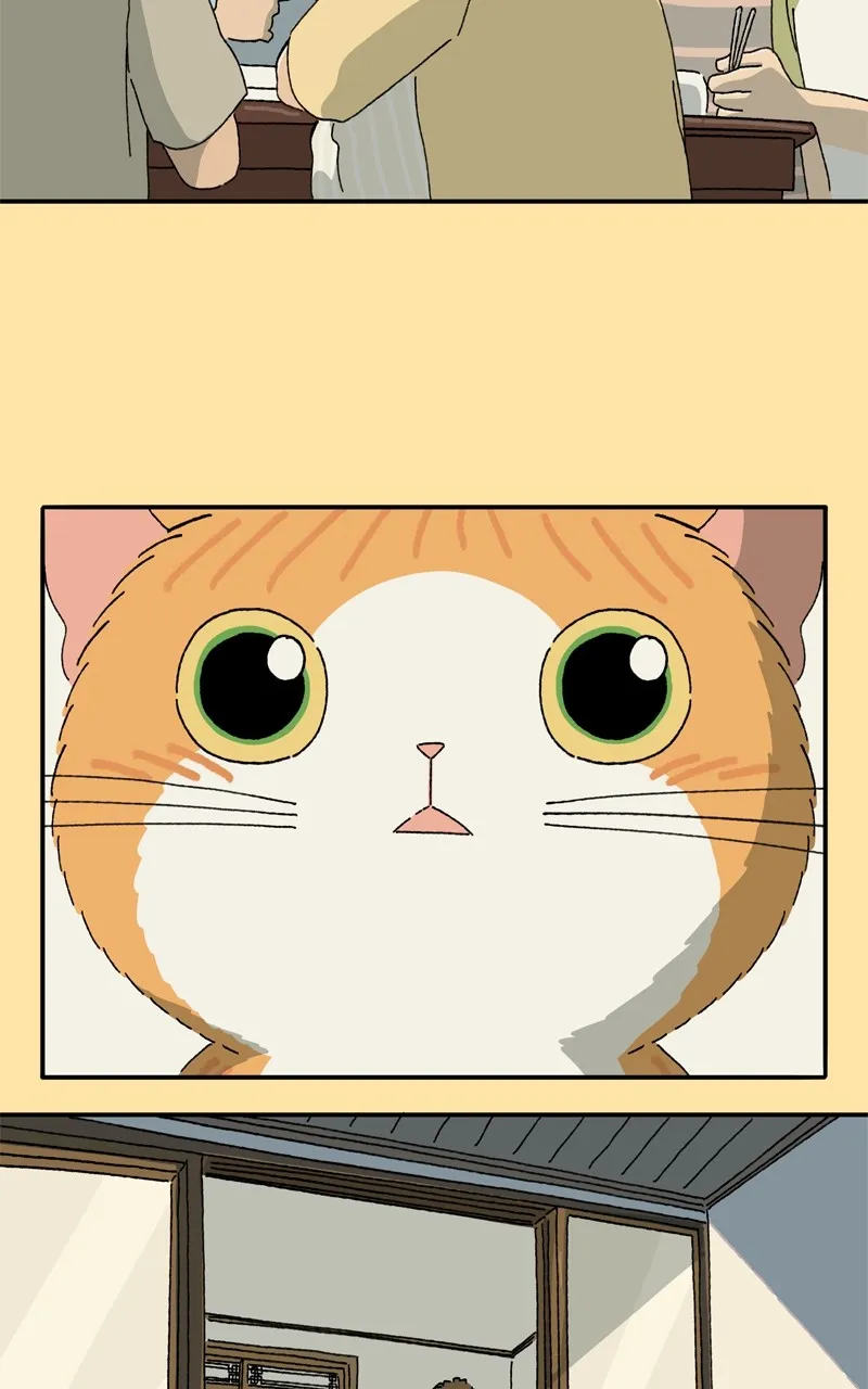 Tata the Cat Chapter 34 page 19 - 