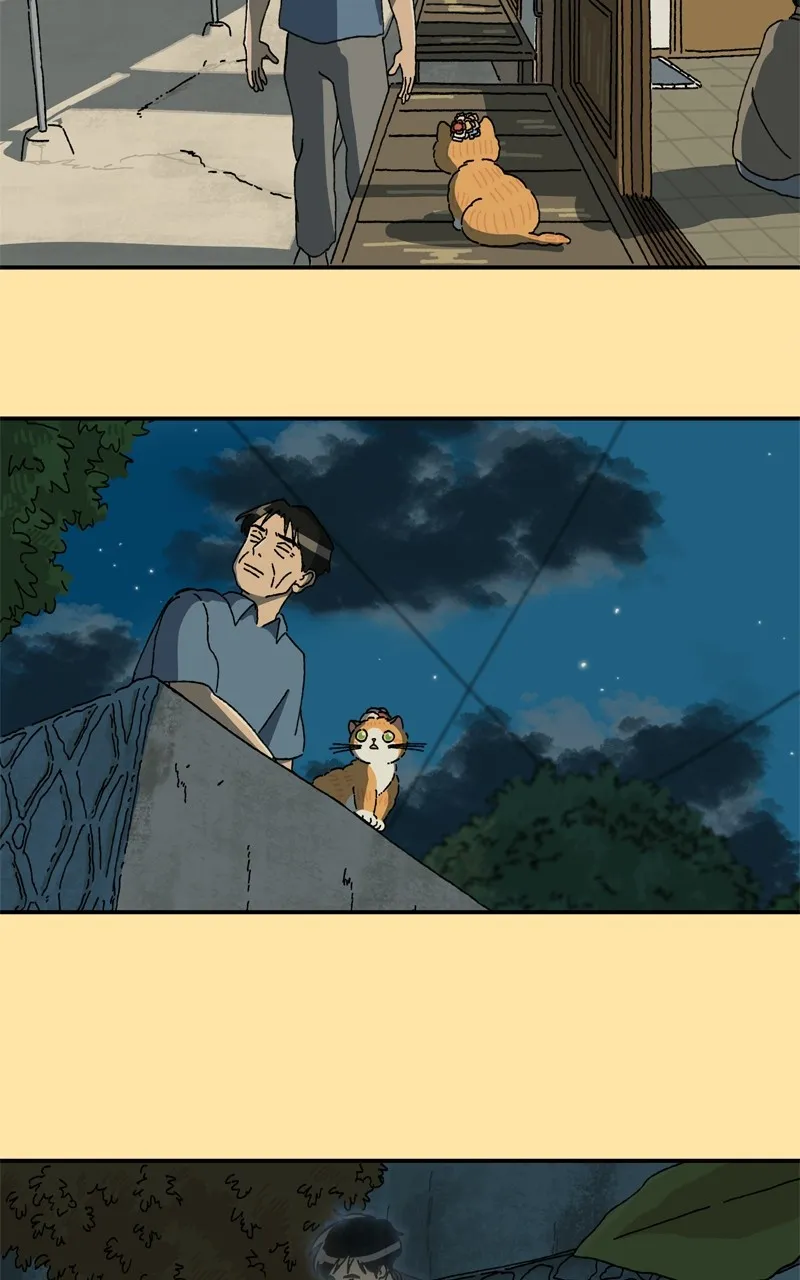 Tata the Cat Chapter 34 page 21 - 