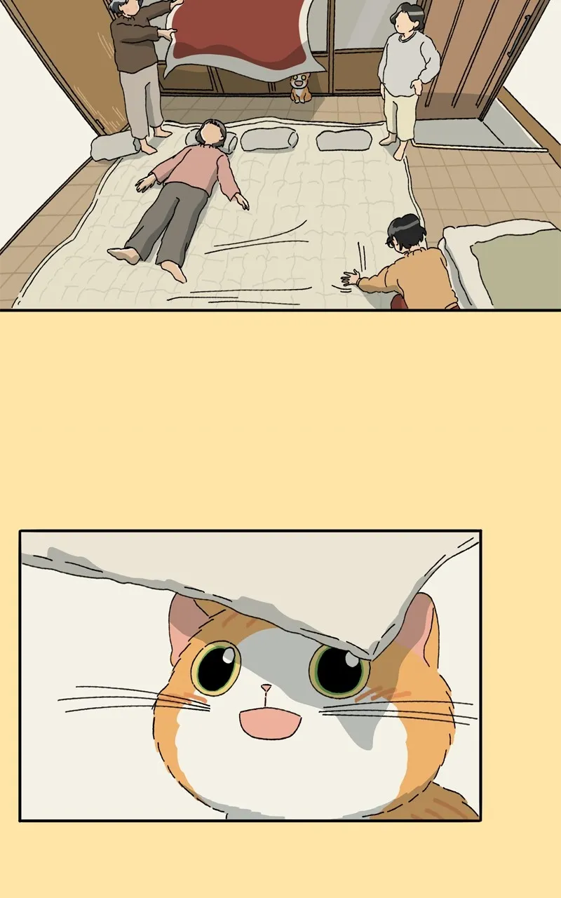 Tata the Cat Chapter 34 page 24 - 