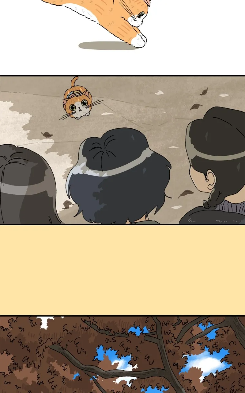 Tata the Cat Chapter 34 page 31 - 