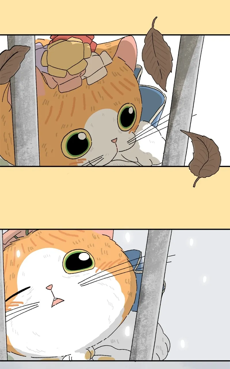 Tata the Cat Chapter 34 page 35 - 