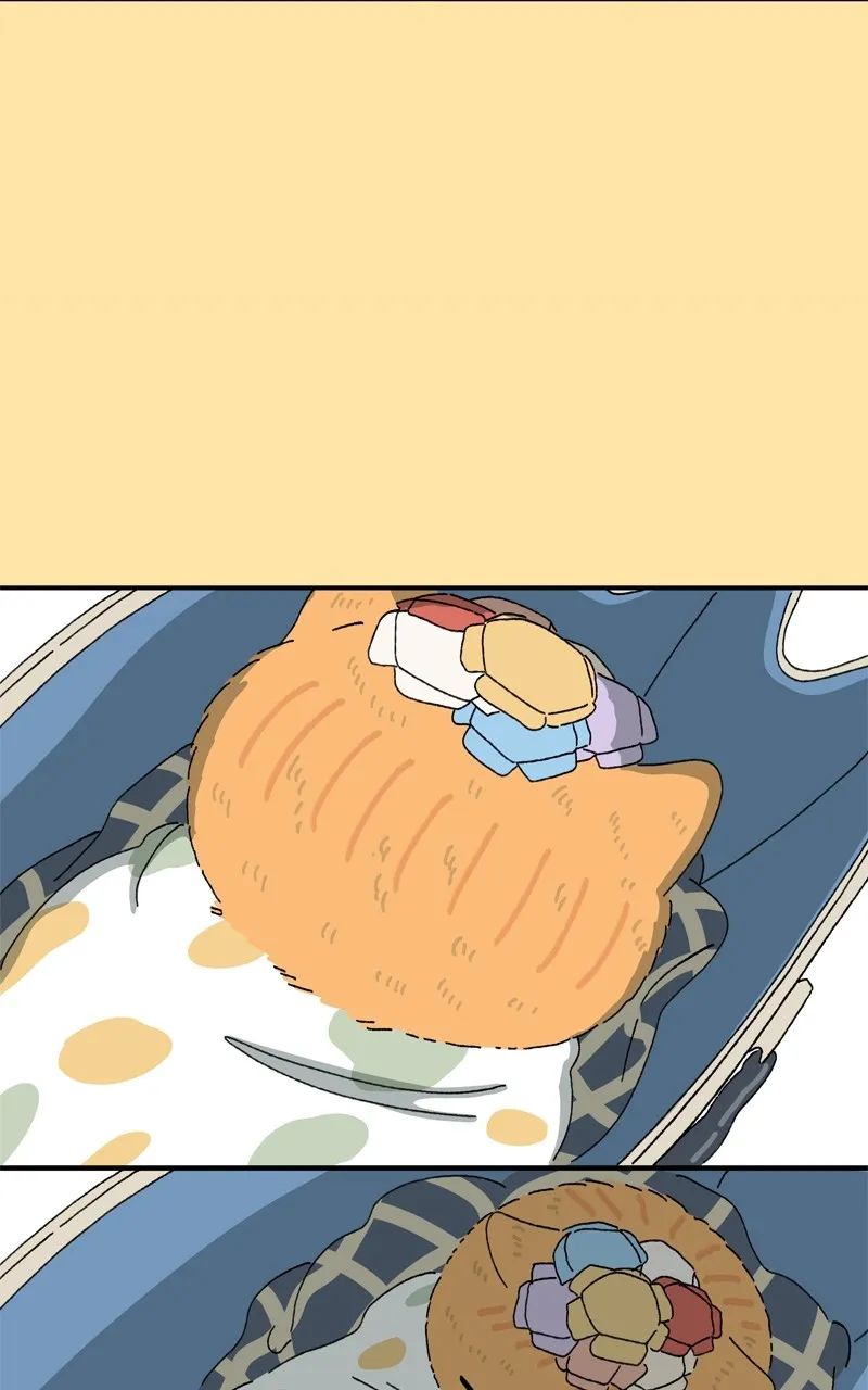 Tata the Cat Chapter 34 page 37 - 