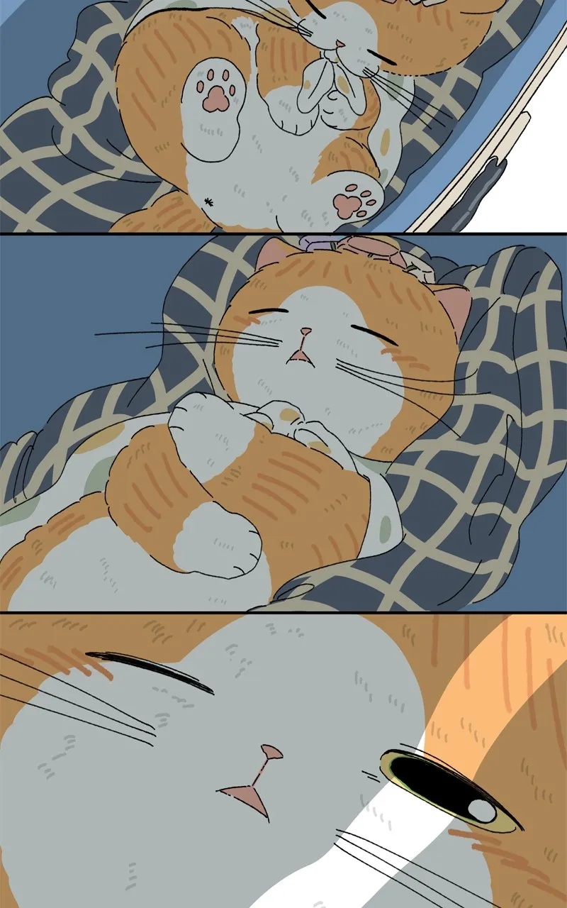 Tata the Cat Chapter 34 page 38 - 