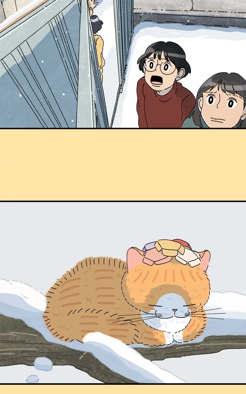 Tata the Cat Chapter 34 page 42 - 