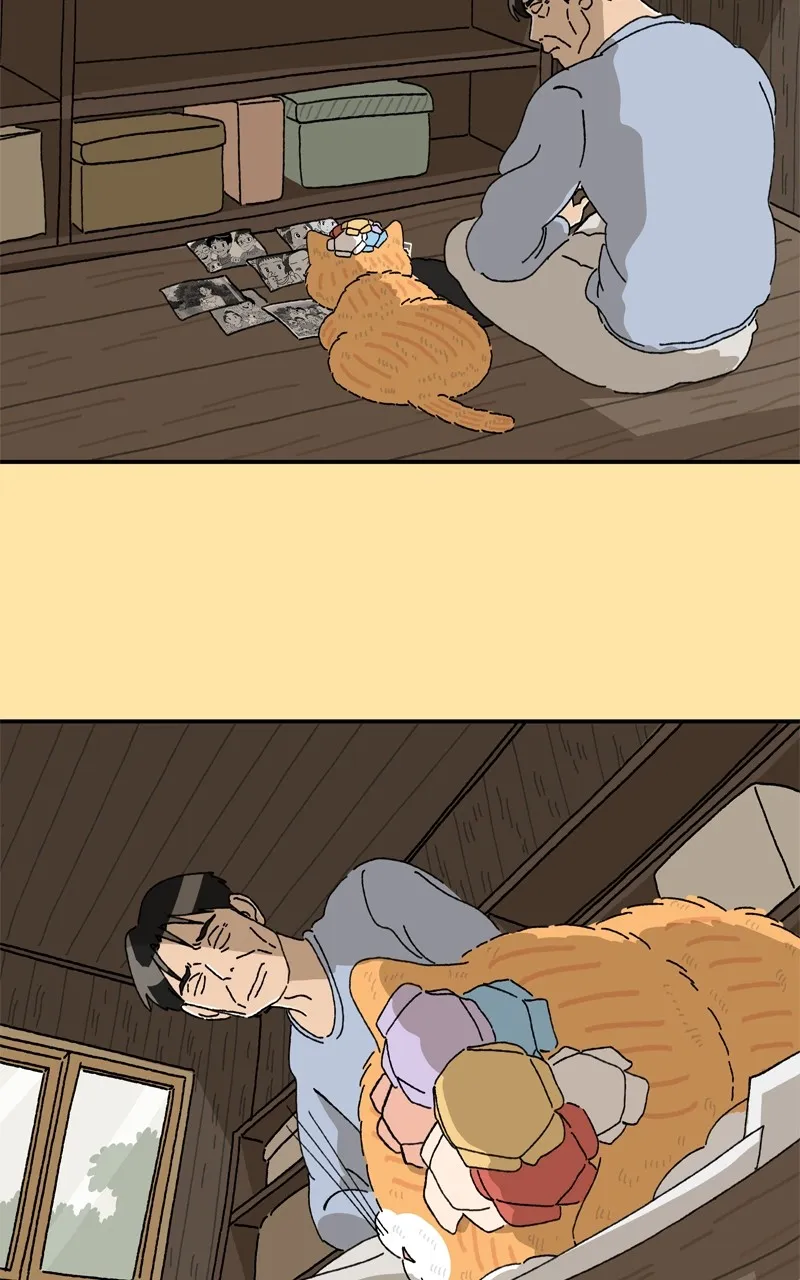 Tata the Cat Chapter 34 page 49 - 
