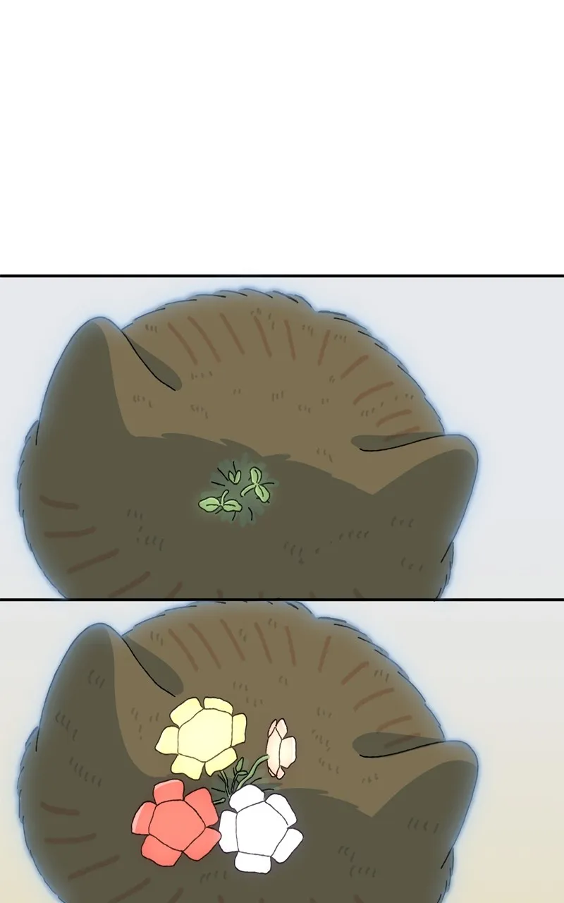 Tata the Cat Chapter 34 page 7 - 