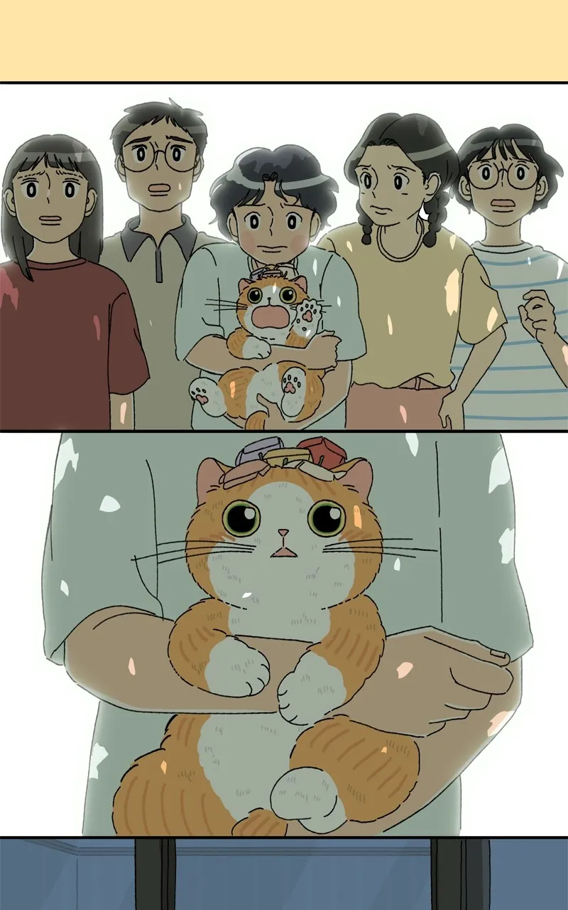 Tata the Cat Chapter 35 page 1 - 