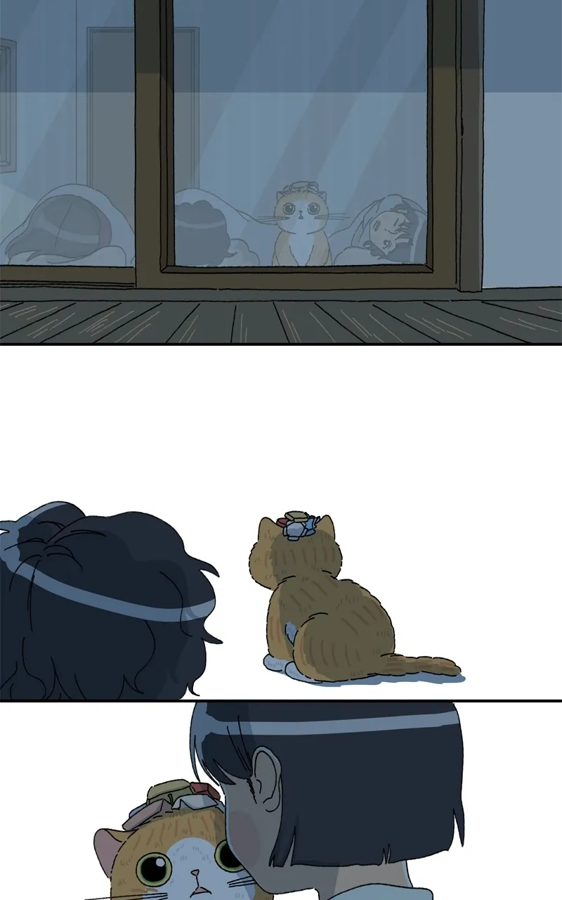 Tata the Cat Chapter 35 page 2 - 