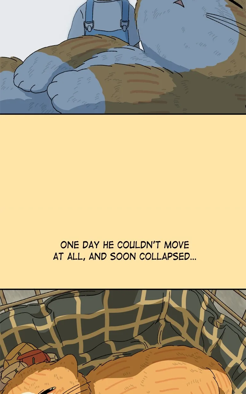 Tata the Cat Chapter 35 page 15 - 