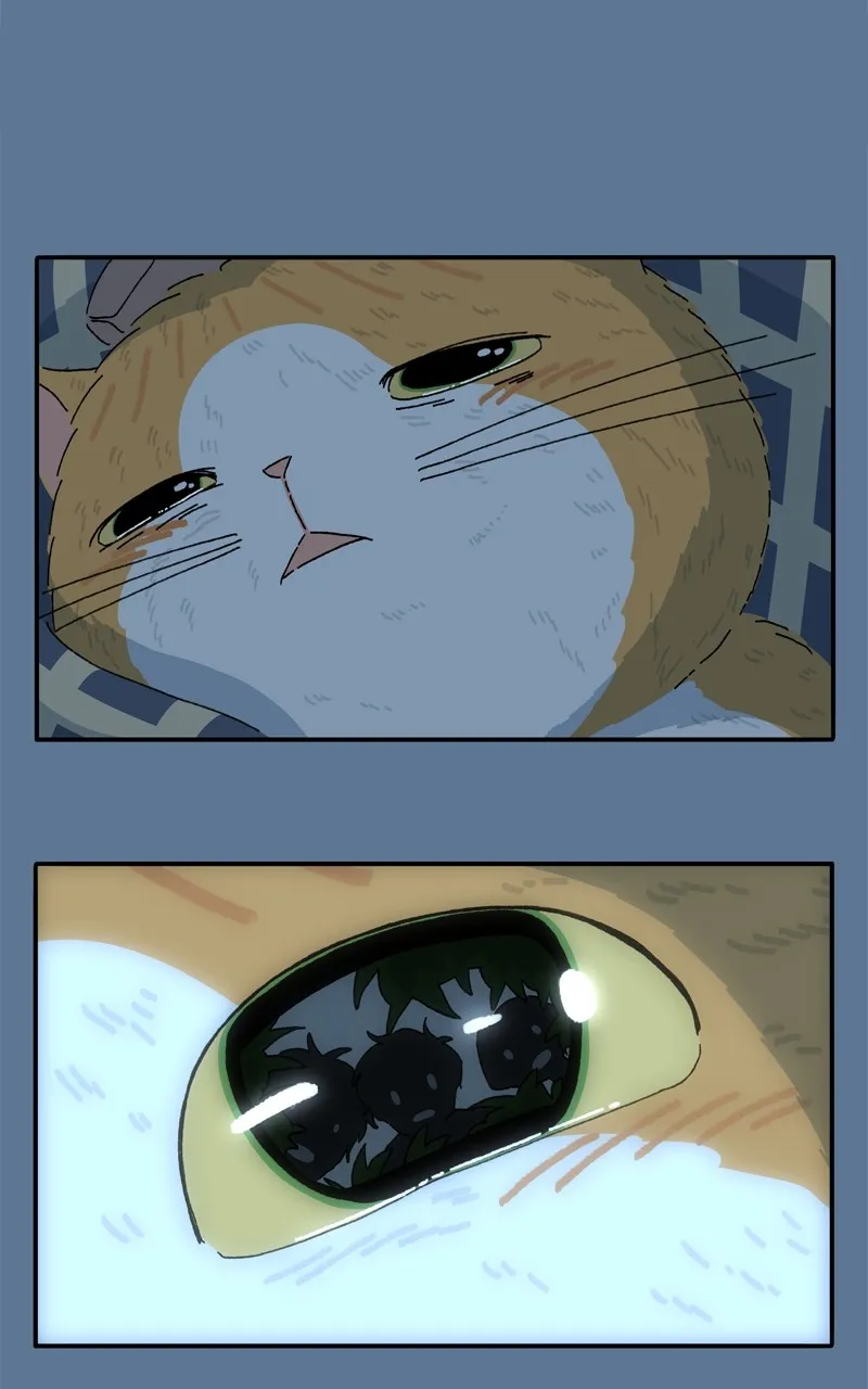 Tata the Cat Chapter 35 page 19 - 