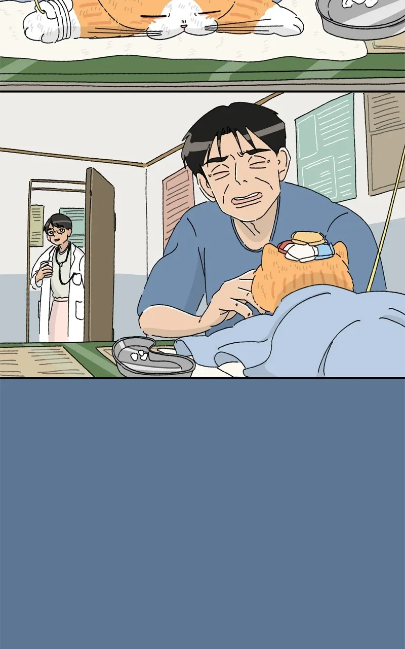 Tata the Cat Chapter 35 page 32 - 