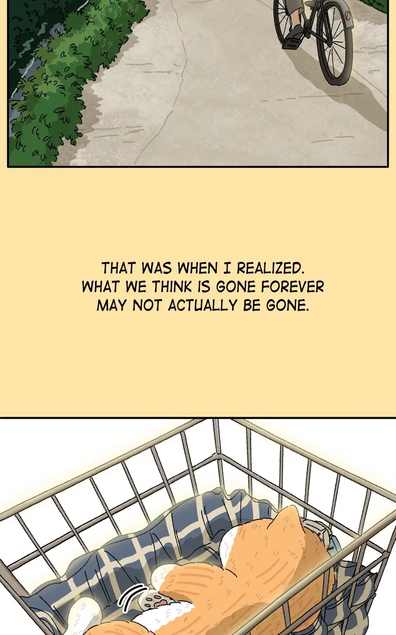Tata the Cat Chapter 35 page 39 - 