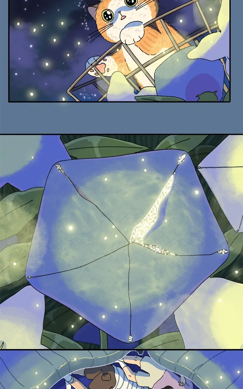 Tata the Cat Chapter 36 page 20 - 