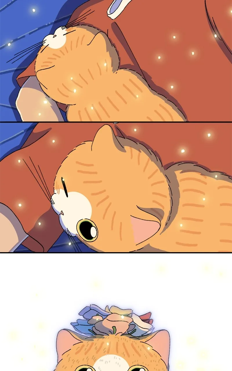 Tata the Cat Chapter 36 page 22 - 