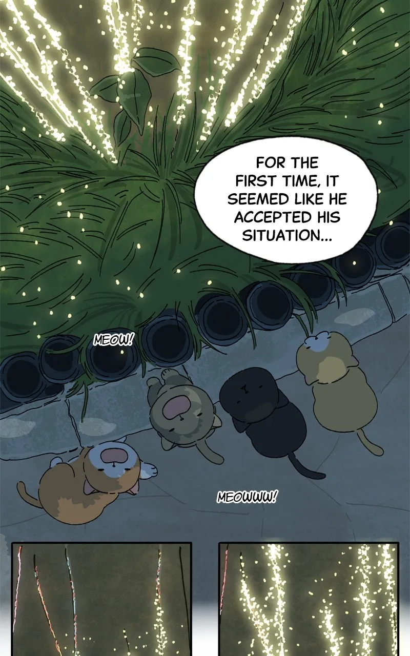 Tata the Cat Chapter 36 page 32 - 