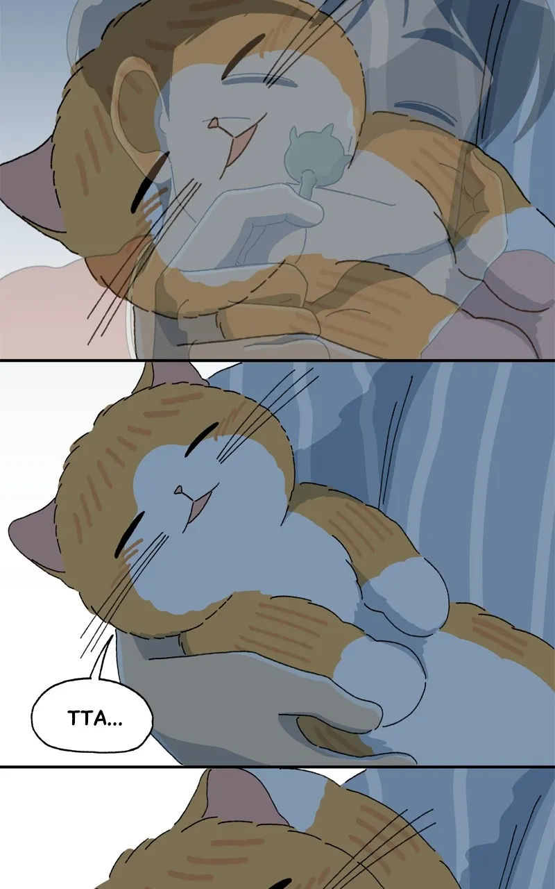 Tata the Cat Chapter 36 page 44 - 