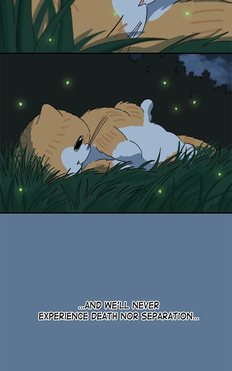 Tata the Cat Chapter 36 page 7 - 