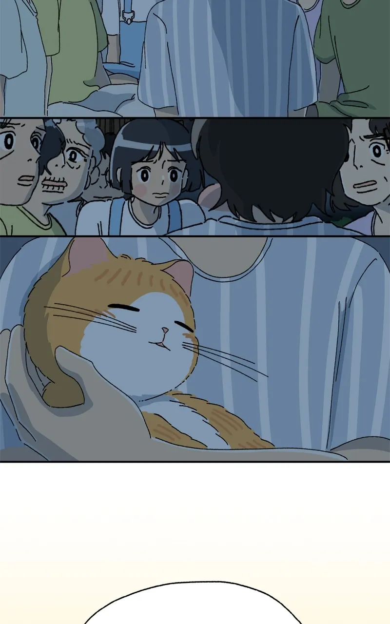 Tata the Cat Chapter 37 page 3 - 