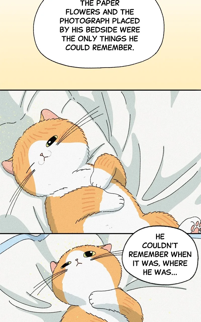 Tata the Cat Chapter 37 page 4 - 