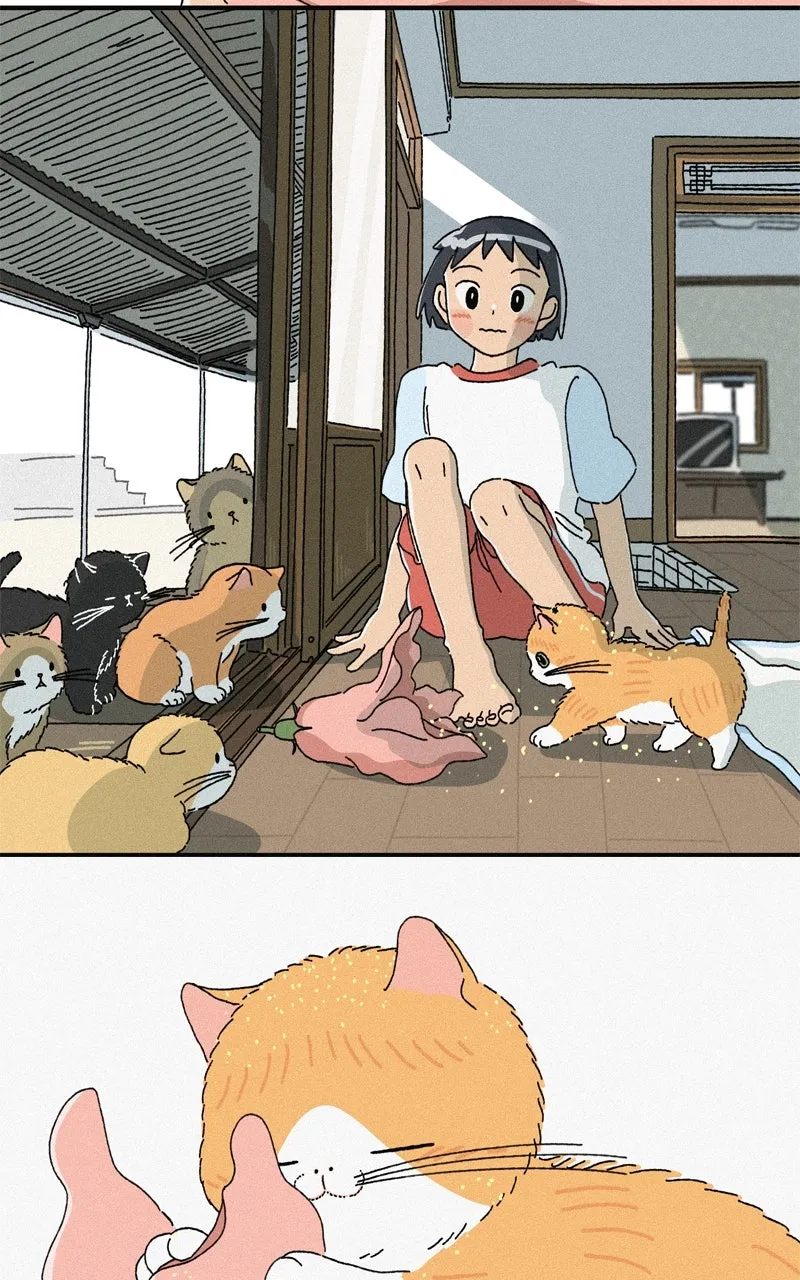 Tata the Cat Chapter 37 page 40 - 