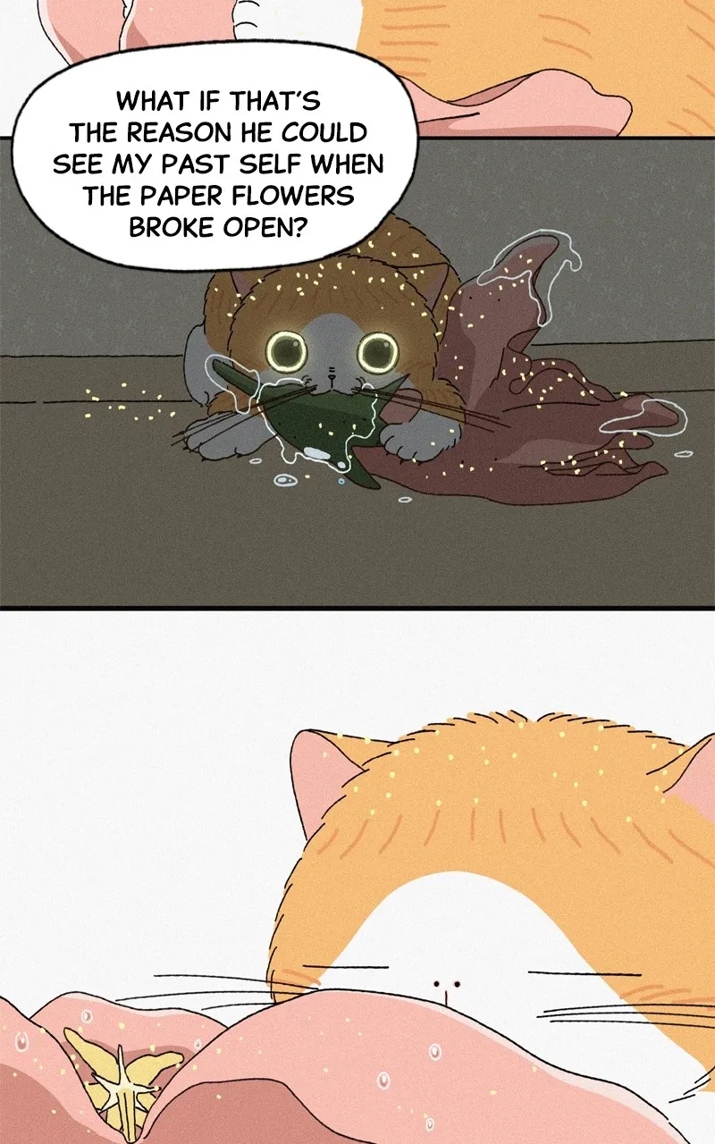 Tata the Cat Chapter 37 page 41 - 