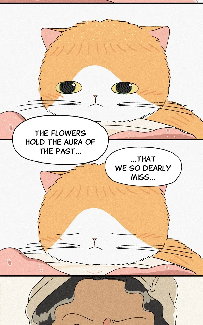 Tata the Cat Chapter 37 page 42 - 