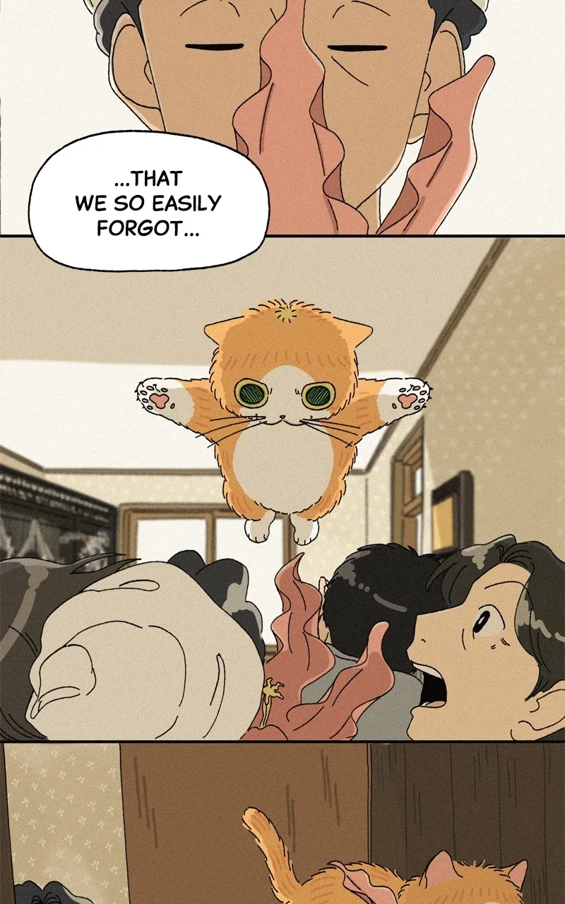 Tata the Cat Chapter 37 page 43 - 