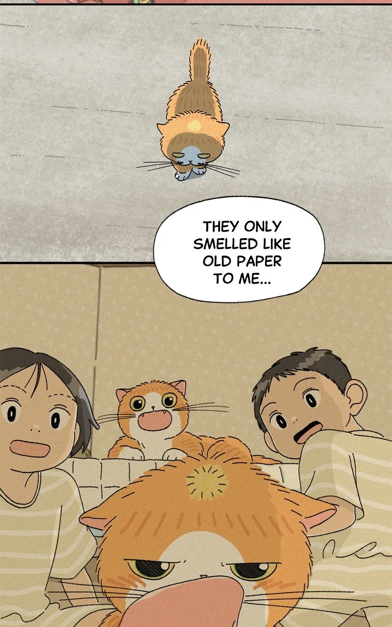 Tata the Cat Chapter 37 page 46 - 